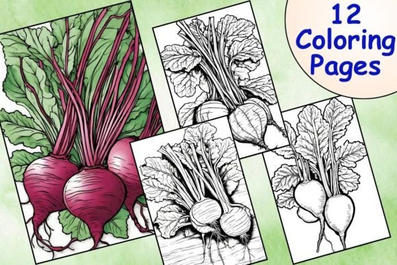 Download 12 Printable Beetroot Coloring Pages - Coloring Collection